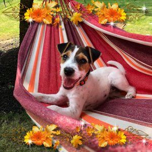 Meet your Posher, Bonnie